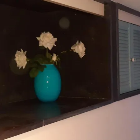Zeelucht Appartement
