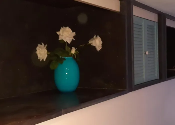 Zeelucht Appartement