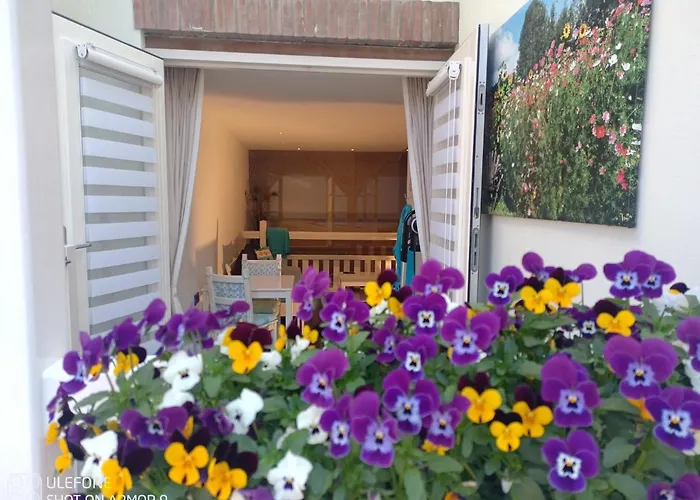 Zeelucht * Zandvoort